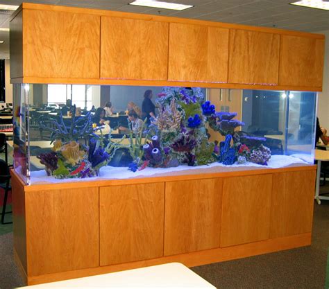 Aqueon Edgelit Cube Glass Aquarium, 1 Gallon (80) 49. . 800 gallon fish tank for sale